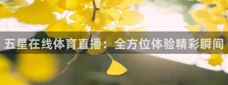 jrs低调看直播jrs直播吧