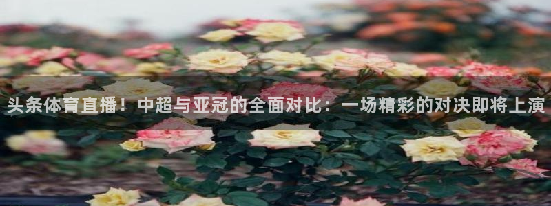 51体育jrs直播吧：头条体育直播！中超与亚冠的全面对比：一场精彩的对决即将上演