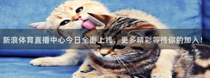 蓝球赛事直播吧：新浪体育直播中心今日全面上线，更多精彩等待你的加入！