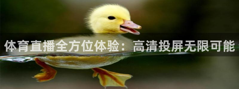 nba直播吧nba直播：体育直播全方位体验：高清投屏无限可能