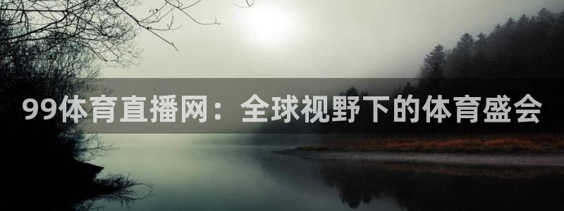 飞速体育nba直播吧：99体育直播网：全球视野下的体育盛会