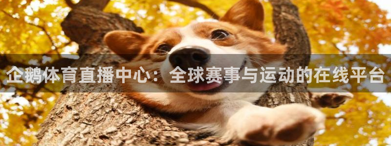 直播吧jrs：企鹅体育直播中心：全球赛事与运动的在线平台