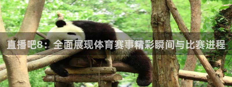爱球直播吧：直播吧8：全面展现体育赛事精彩瞬间与比赛进程