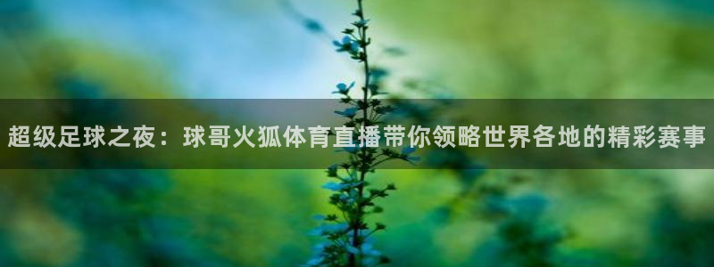 nba极速体育直播吧：超级足球之夜：球哥火狐体育直播带你领略世界各地的精彩赛事