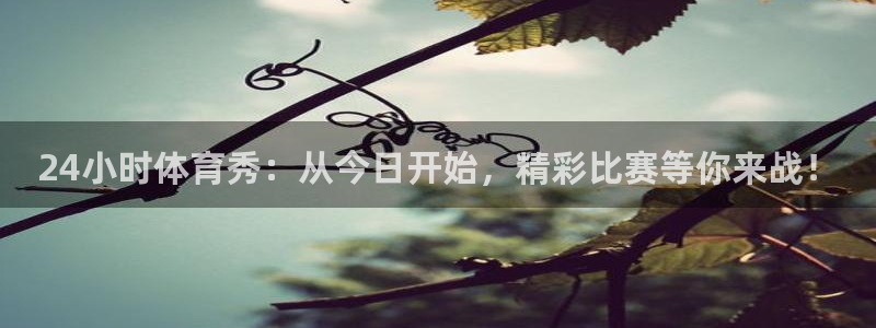 24体育nba直播吧
